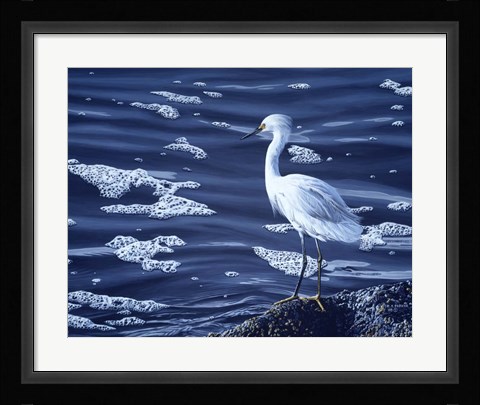 Framed Snowy Egret Print