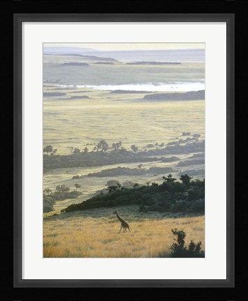 Framed Morning On The Mara Print
