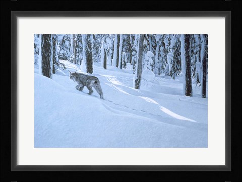 Framed Northern Winter Print
