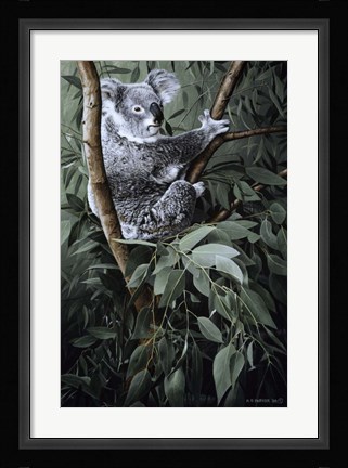 Framed Eucalyptus Climber Print