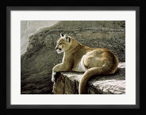 Framed Rimrock - Cougar Print