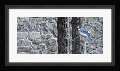 Framed Autumn Blue Jay Print