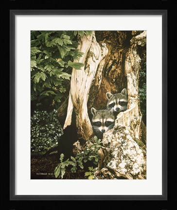 Framed Raccoon Pair Print