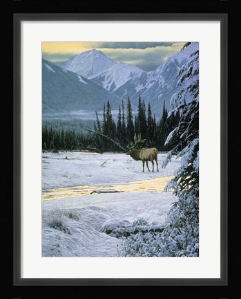 Framed Yellow Dawn - American Elk Print