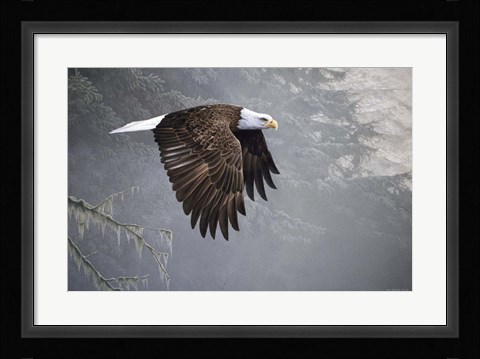 Framed Mystic Forest Print