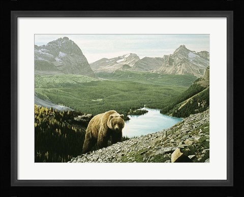 Framed Lake O'Hara Print