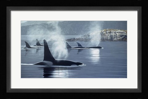 Framed Morning Mist Print