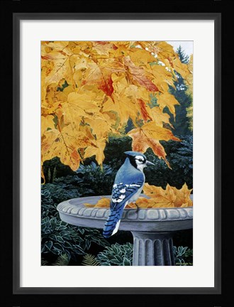 Framed Autumn Birdbath Print