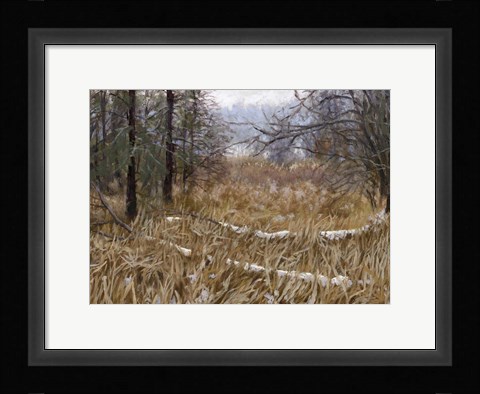Framed Kensington Metro Park Trail Print