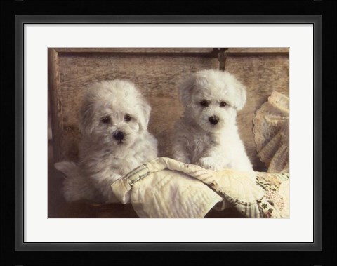 Framed Twice As Nice Print