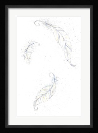 Framed Feathers Print