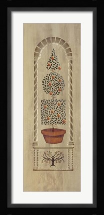 Framed Topiary I Print