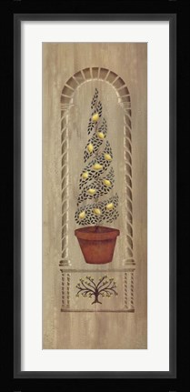 Framed Topiary 2 Print