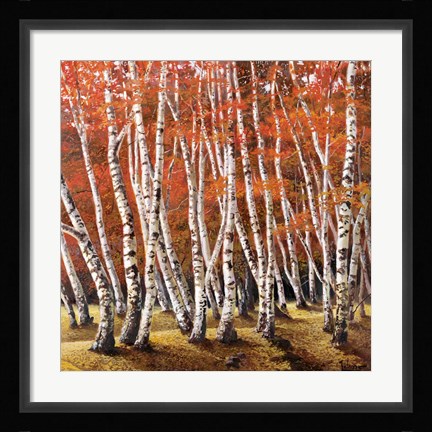 Framed Bosco di Betulle I Print