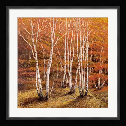 Framed Bosco di Betulle II Print