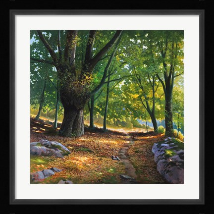 Framed Luce nel Bosco Print