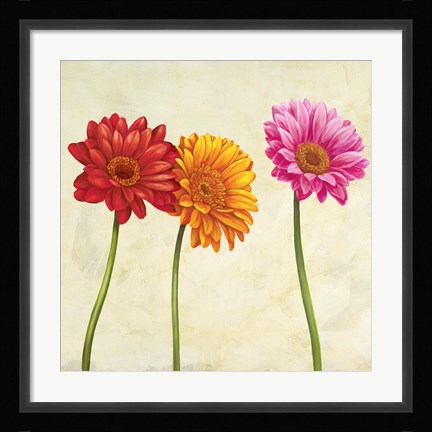 Framed Gerberas (Detail) Print