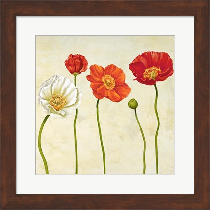 Framed Coquelicots (Detail) Print