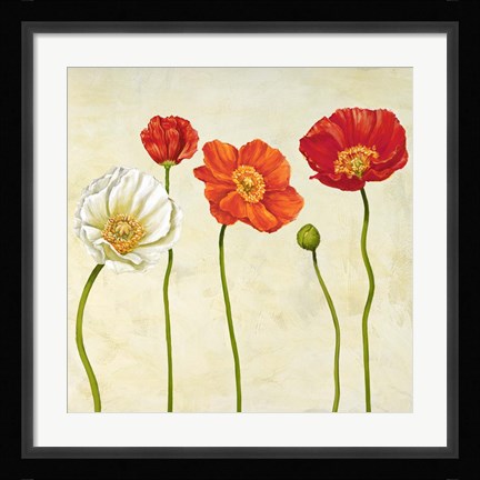 Framed Coquelicots (Detail) Print