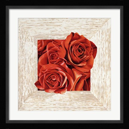 Framed French Roses I Print