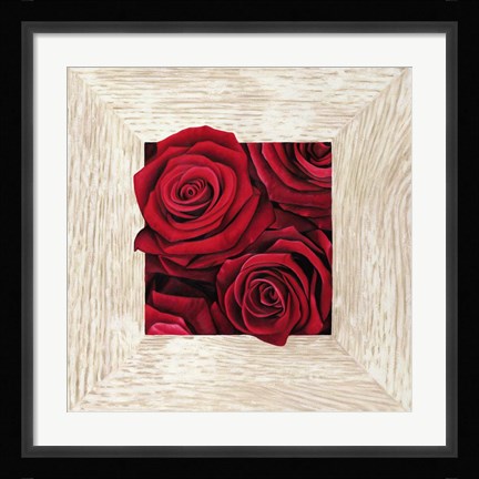 Framed French Roses II Print