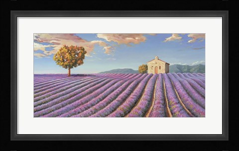 Framed Campi di Lavanda Print