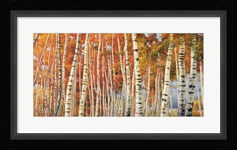 Framed Betulle d'autunno Print