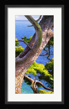 Framed Lavandou III Print