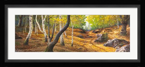 Framed Sentiero nel Bosco Print