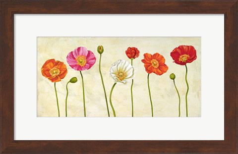 Framed Coquelicots Print
