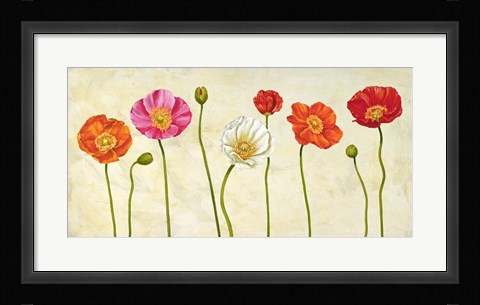 Framed Coquelicots Print