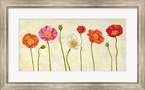 Framed Coquelicots Print