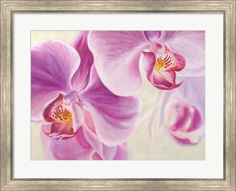 Framed Purple Orchids Print