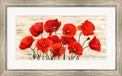 Framed French Poppies Print