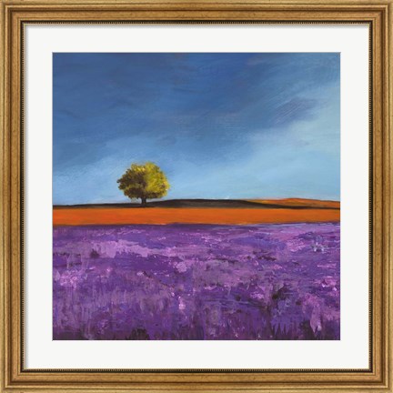Framed Field of Lavender (Detail) Print