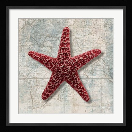 Framed Starfish Print