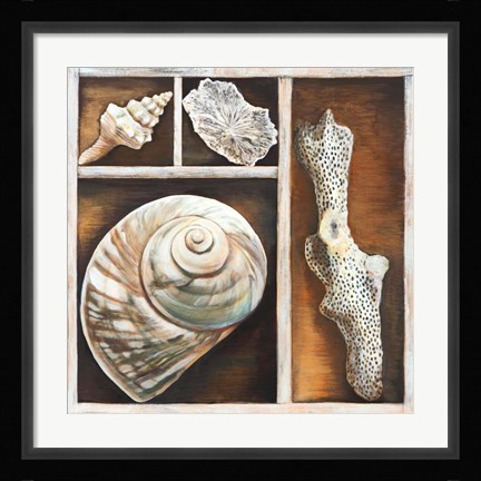 Framed From the Ocean IV Print