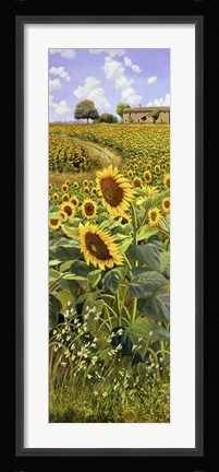 Framed Collina Toscana Print