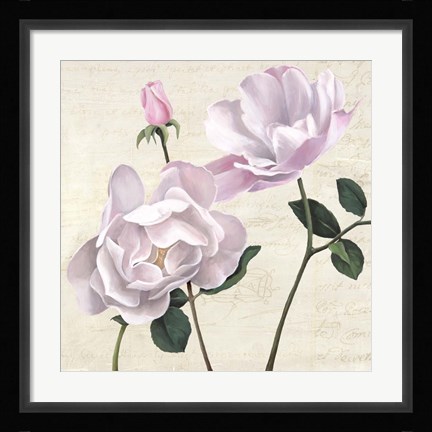 Framed Classica II Print