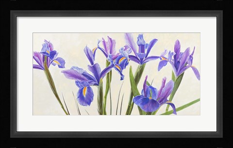 Framed Iris Print