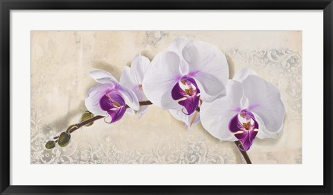 Framed Royal Orchid Print