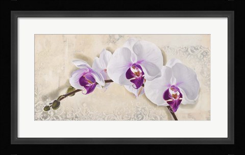 Framed Royal Orchid Print