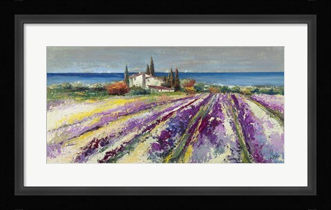 Framed Sognando la Provenza Print