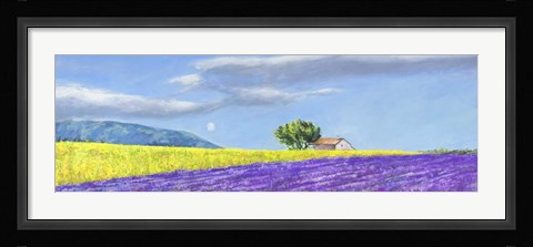 Framed Campi di Lavanda Print