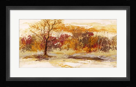 Framed Foresta II Print