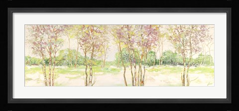 Framed Bosco di Betulle II Print
