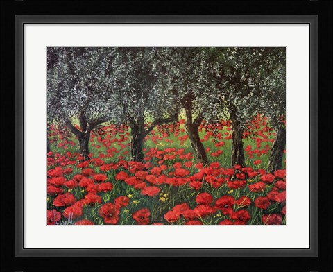 Framed Papaveri Sotto Gli Ulivi Print