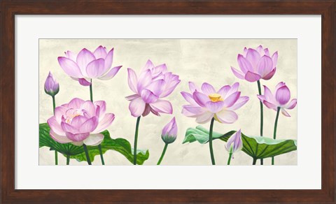 Framed Lotus Flowers Print