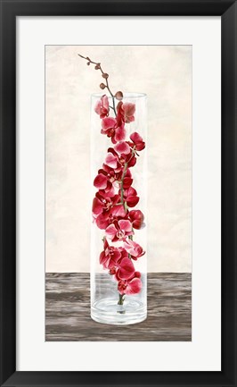Framed Arrangement of Orchids Print