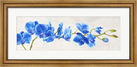 Framed Blue Orchid Print